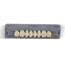 Vita MFT Denture Teeth 2M1 (Set of 28) Buy Dental products Online DentalMyntra