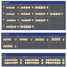 Vita MFT Denture Teeth 2M1 (Set of 28) Buy Dental products Online DentalMyntra