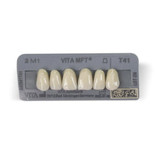 Vita MFT Denture Teeth 2M1 (Set of 28) Buy Dental products Online DentalMyntra