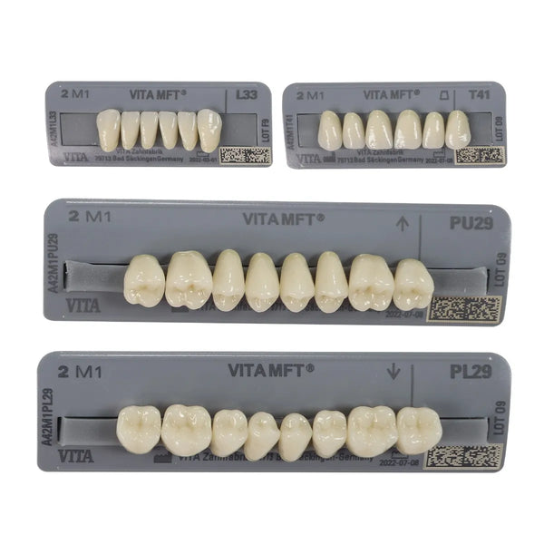 Vita MFT Denture Teeth 2M1 (Set of 28) Buy Dental products Online DentalMyntra