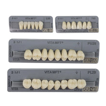 Vita MFT Denture Teeth 2M1 (Set of 28) Buy Dental products Online DentalMyntra