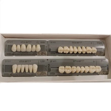 Vita MFT Denture Teeth 2M1 (Set of 28) Buy Dental products Online DentalMyntra