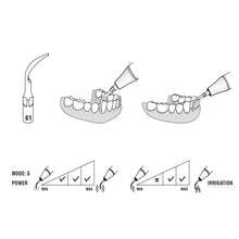 Woodpecker Scaler Tips GD1 for DTE & Satelec Scalers Buy Dental products Online DentalMyntra