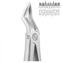 GDC Extraction Forceps Upper Roots Pedo Premium