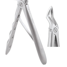 GDC Extraction Forceps Upper Roots Pedo Premium