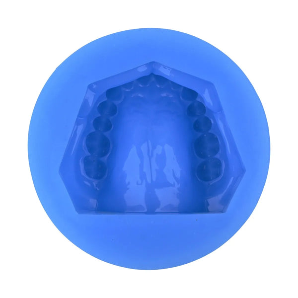 iDENTical Complete Dentulous Cast Moulds -Blue M8019 Buy Dental products Online DentalMyntra