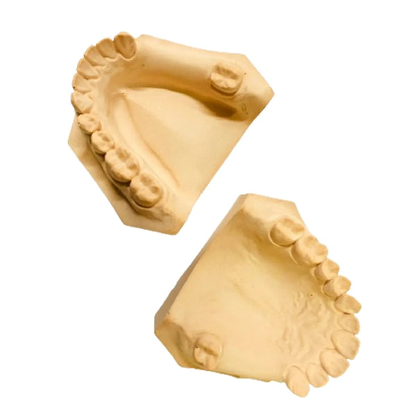 iDENTical Partially Edentulous Silicone Cast Moulds Buy Dental products Online DentalMyntra