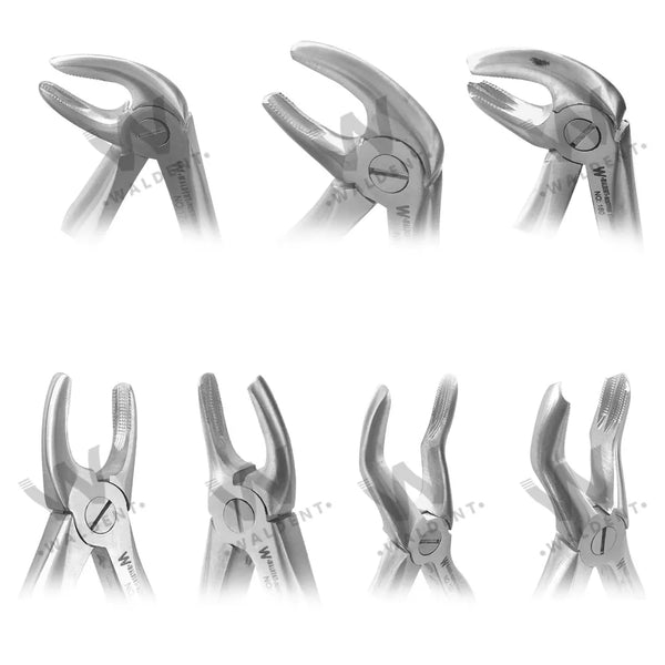 Waldent Pedo Extraction Forceps Kit Set of 7 (K1/2)